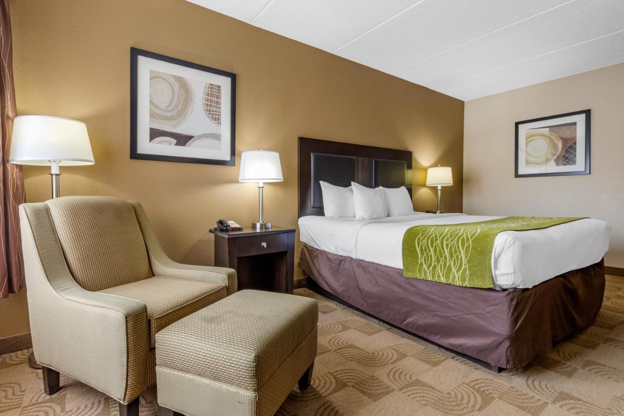 Comfort Inn Warner Robins - Robins Air Force Base Area מראה חיצוני תמונה